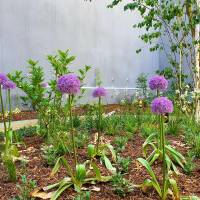 Aurélie BARBEY - Atelier d'Architecture Aurélie Barbey - L'AAAB